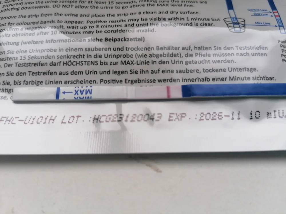 k196te6p6vdz.webp