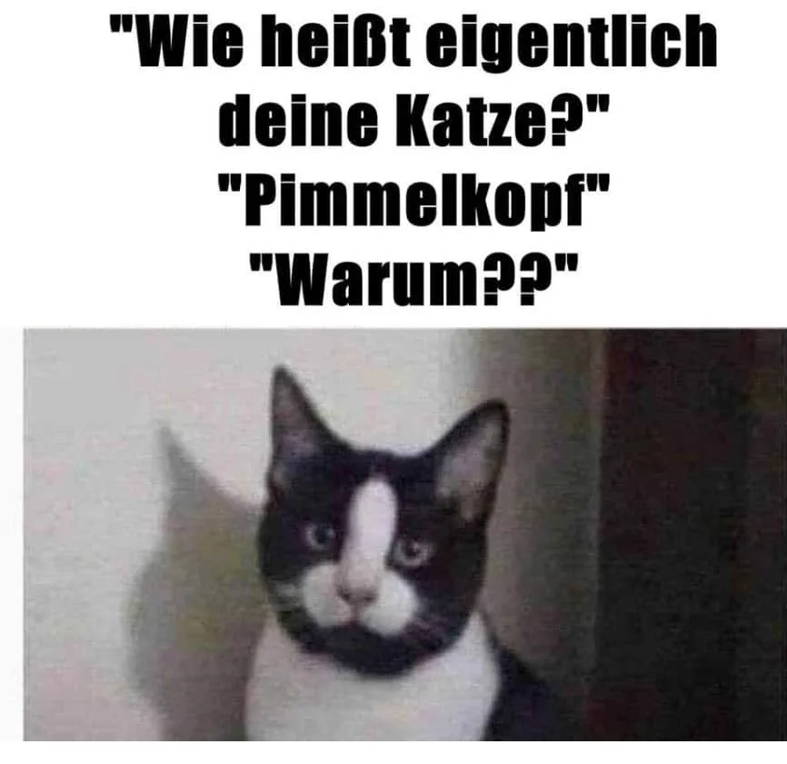dcoxk2wzti3x.webp