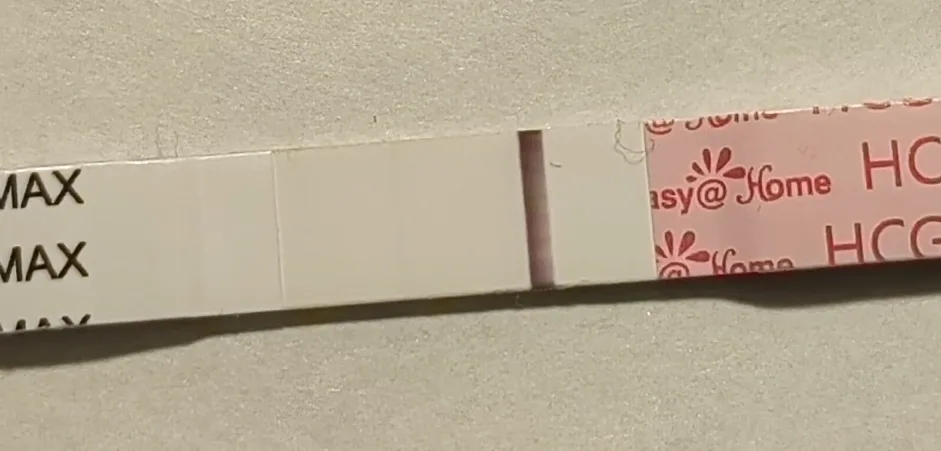 z39979y66hb3.webp
