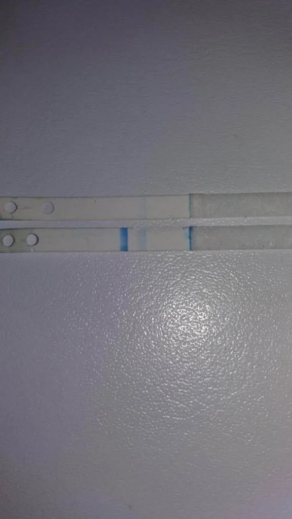 isgp1276gqnz.webp