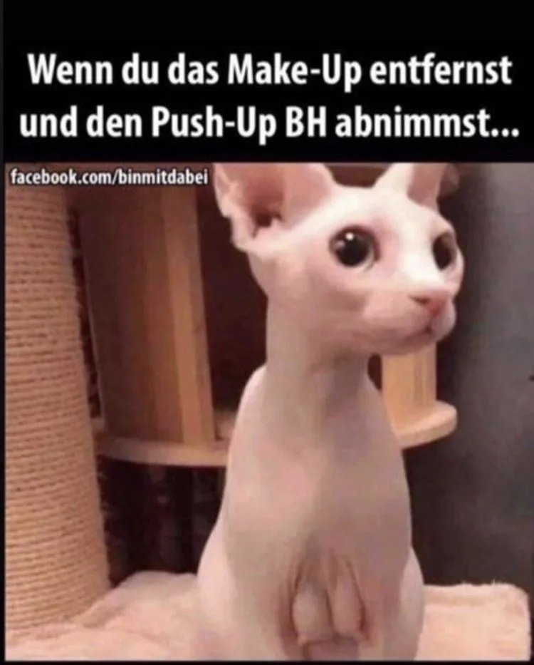 8ltykyj5xlak.webp