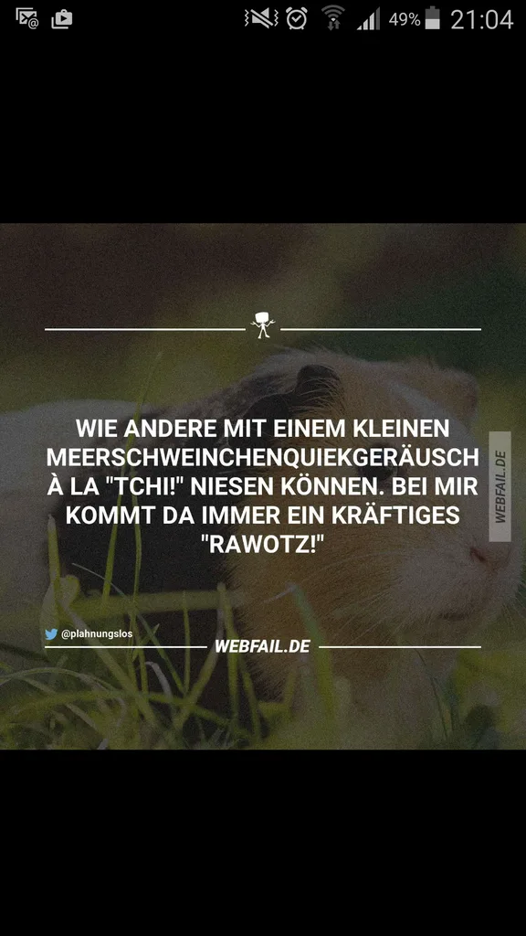 rpvx5i2oxnn7.webp