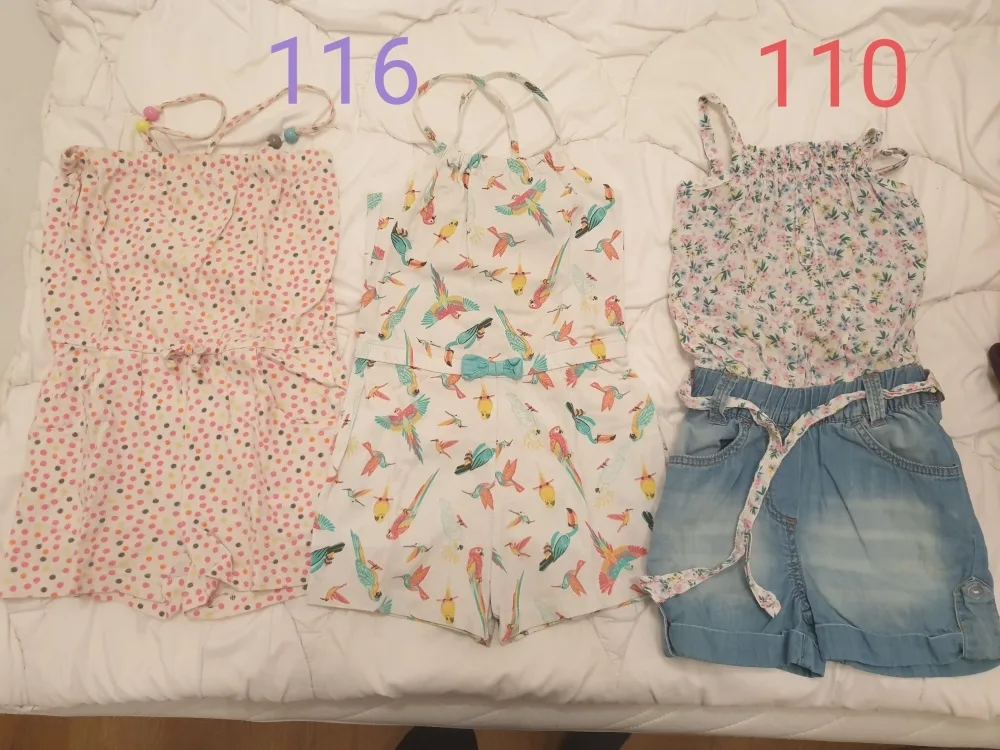 fe6i0y1org02.webp