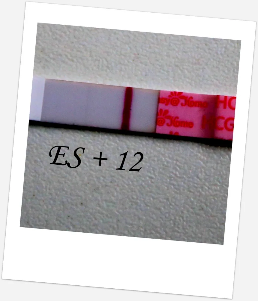 a3rk9mb5ih2c.webp