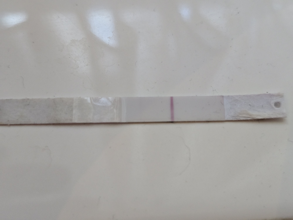 n41ebdc9g0vn.jpg