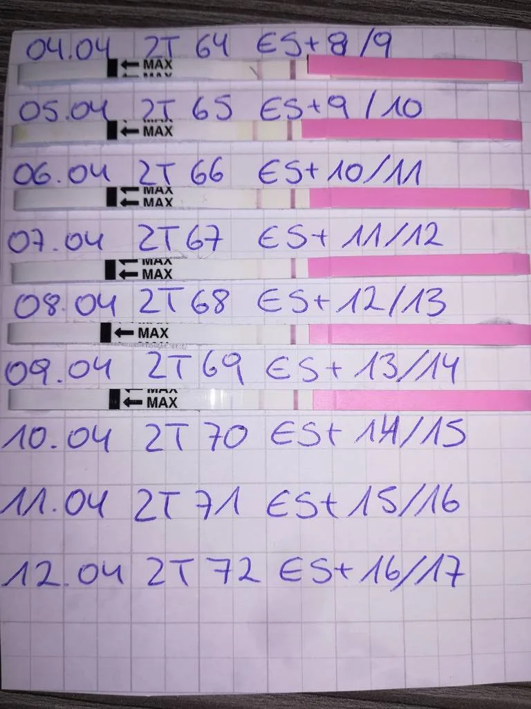 8vwa7hye62pq.webp