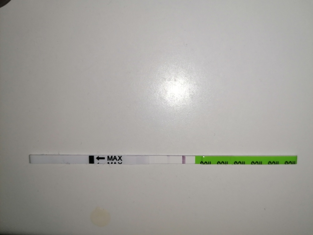 bqd8r63a9hw3.jpg