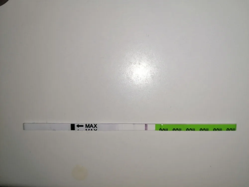 bqd8r63a9hw3.webp