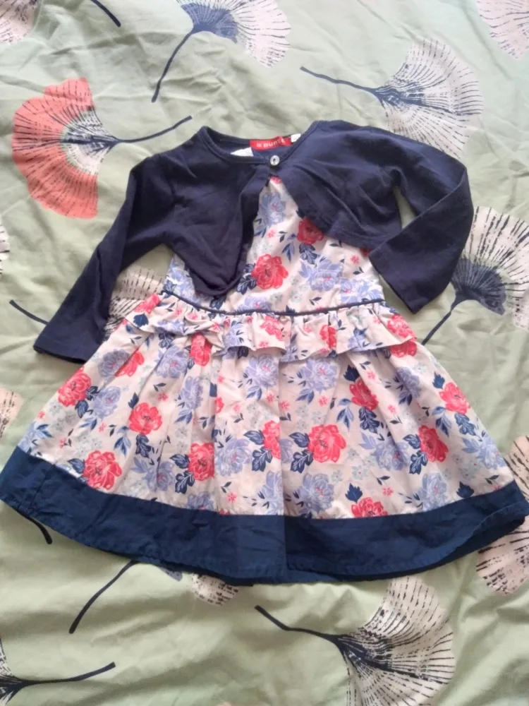 ikthf5zf660o.webp