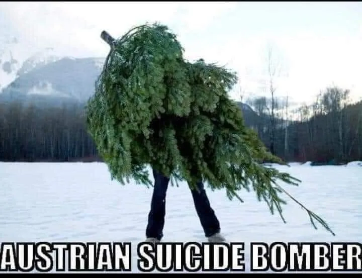 ya3csmmo9ffp.webp