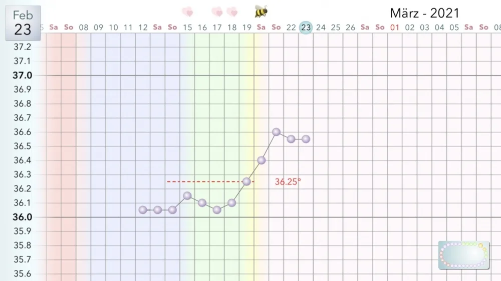 0e8w07vdk1ym.webp
