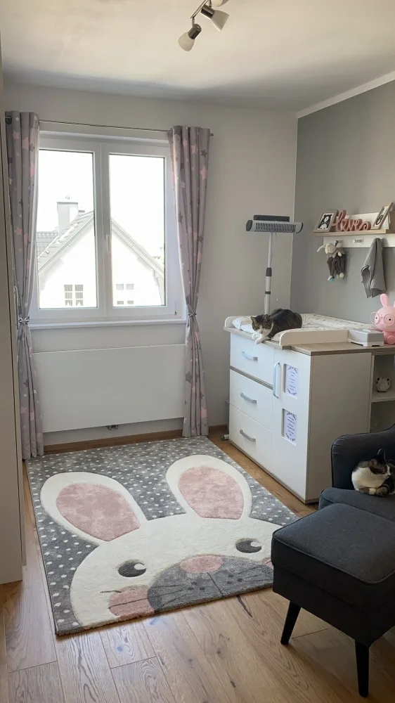 zcmujx799hdq.webp