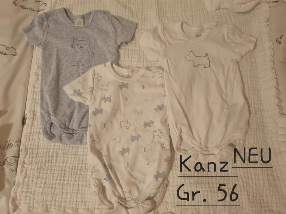anxgm0icoc58.webp