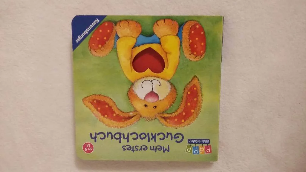 wpvz36ceveiz.webp