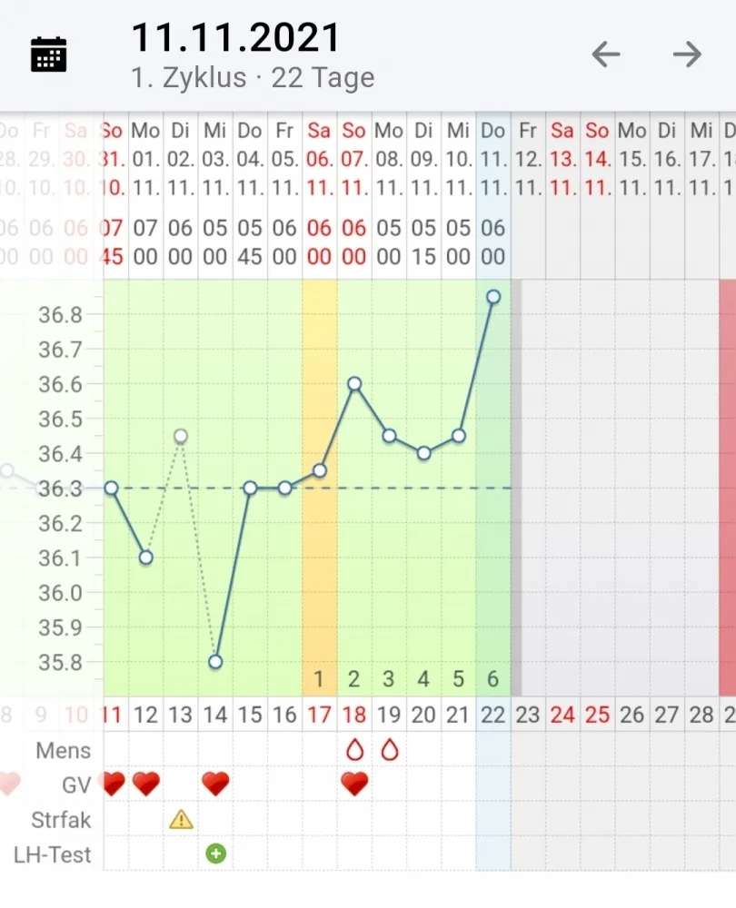 1b4pgpohv948.webp