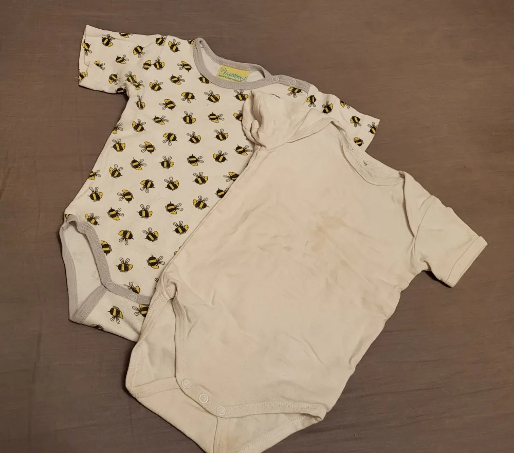 2n4hbb677lcg.webp