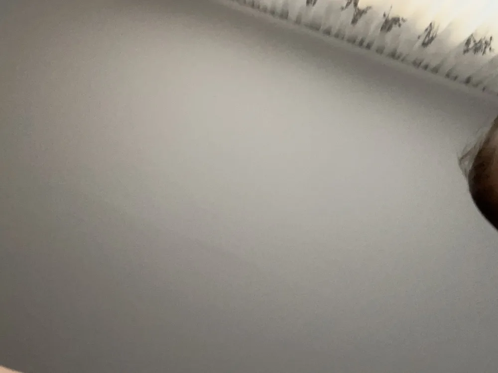 r0cipvq7kyn6.webp