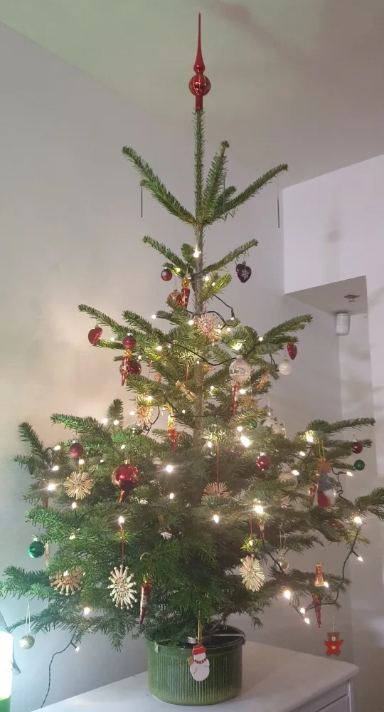 xrotfhr10c96.webp
