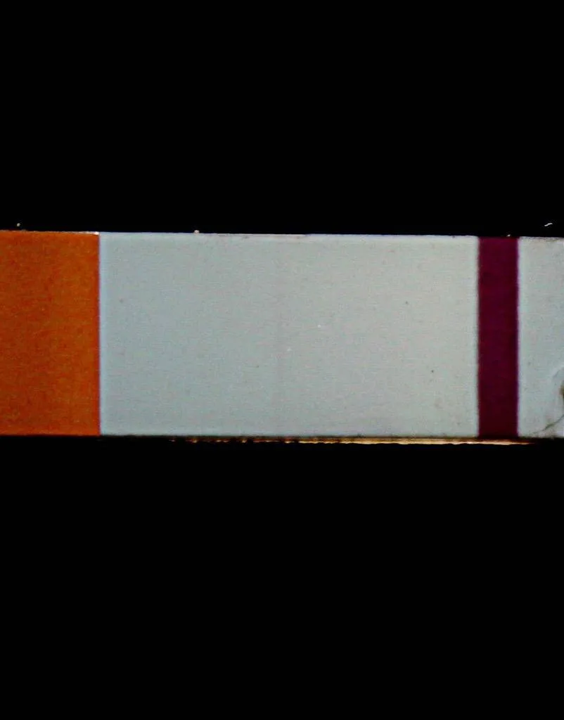 svf72zqdibdb.webp