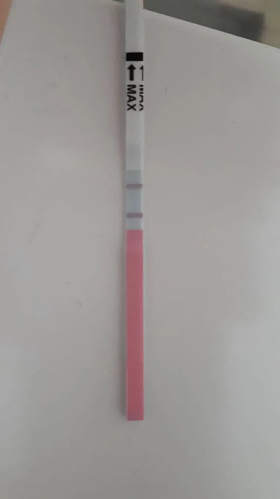 o5ntritojgf5.webp
