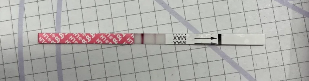 zbstq1hm5l1e.webp