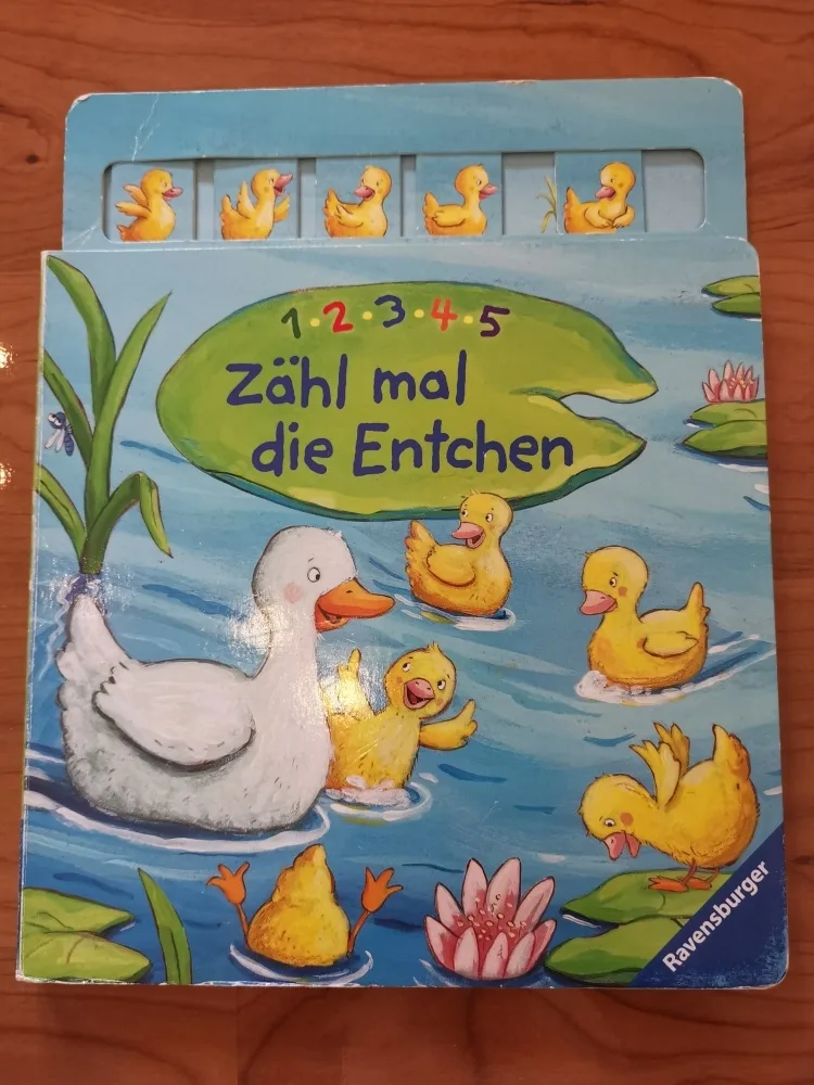 qer5h3gu20eb.webp