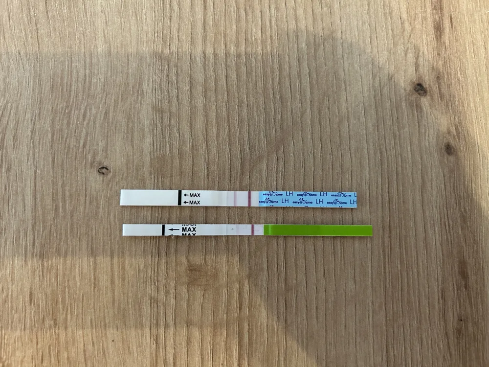 slb6zenqtenx.webp