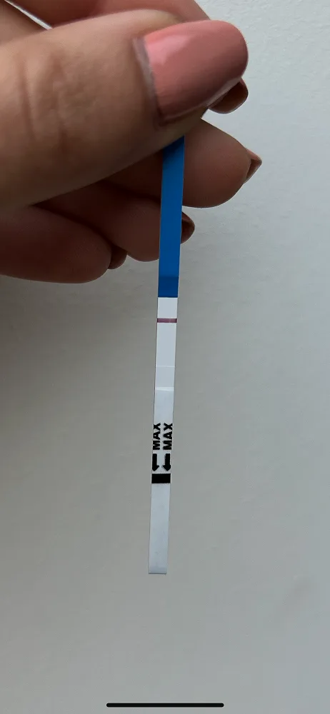 hjorms12d7s8.webp