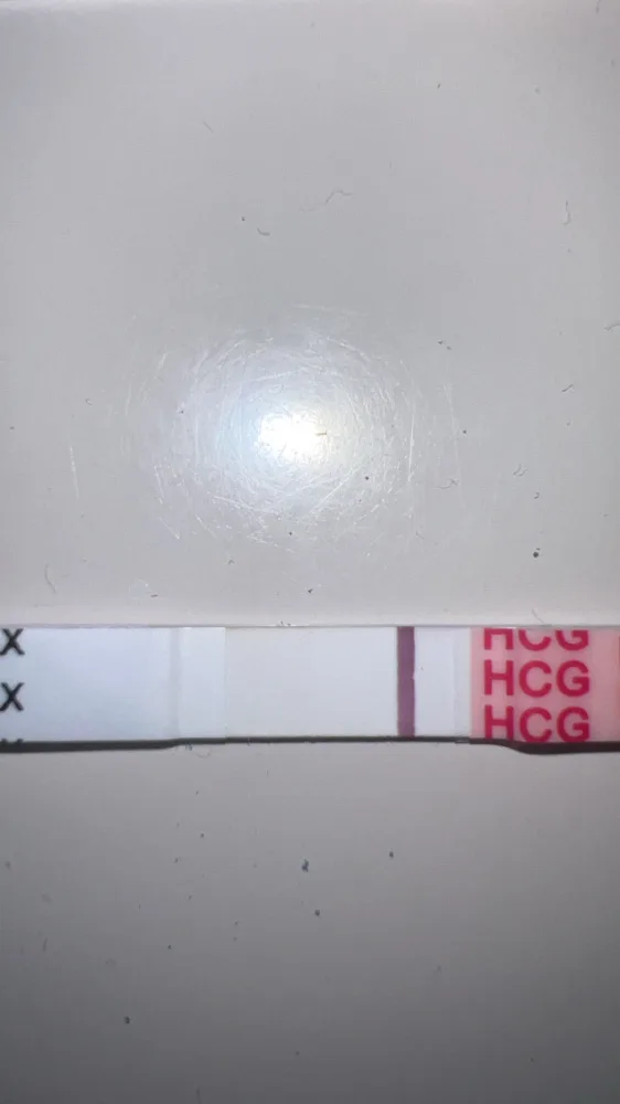 ohmzg59c2roe.webp