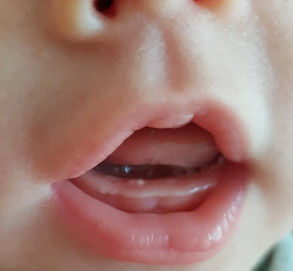 5hhpzm2vaysw.webp