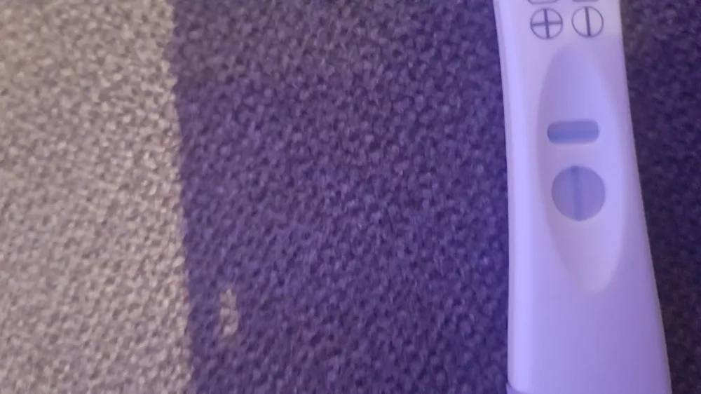 xwjnv5j1o2qe.webp