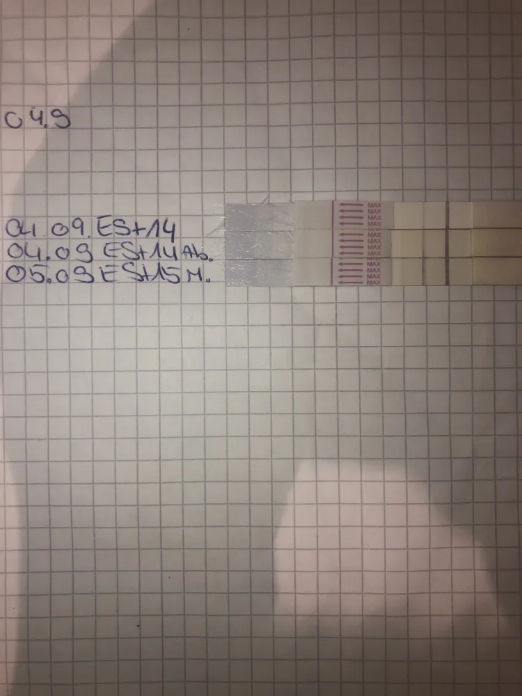 4m28hzmml7b2.webp