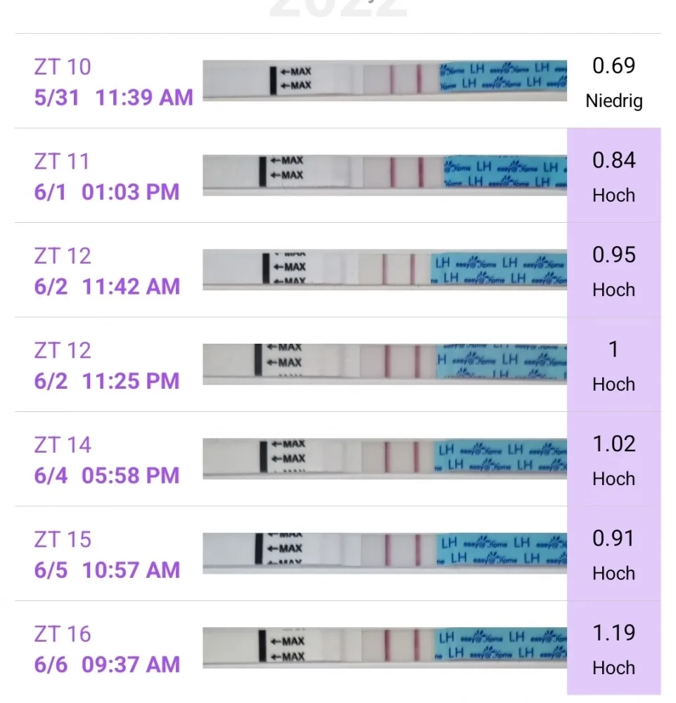 2mj2hnaswv9v.webp