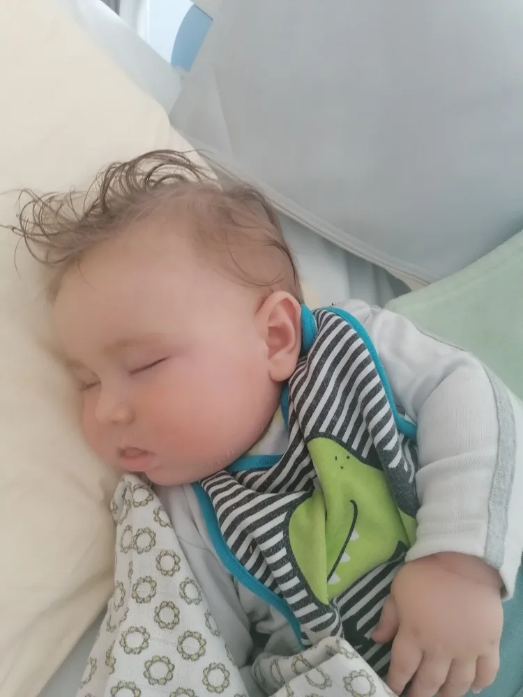 wemw3s979px6.webp