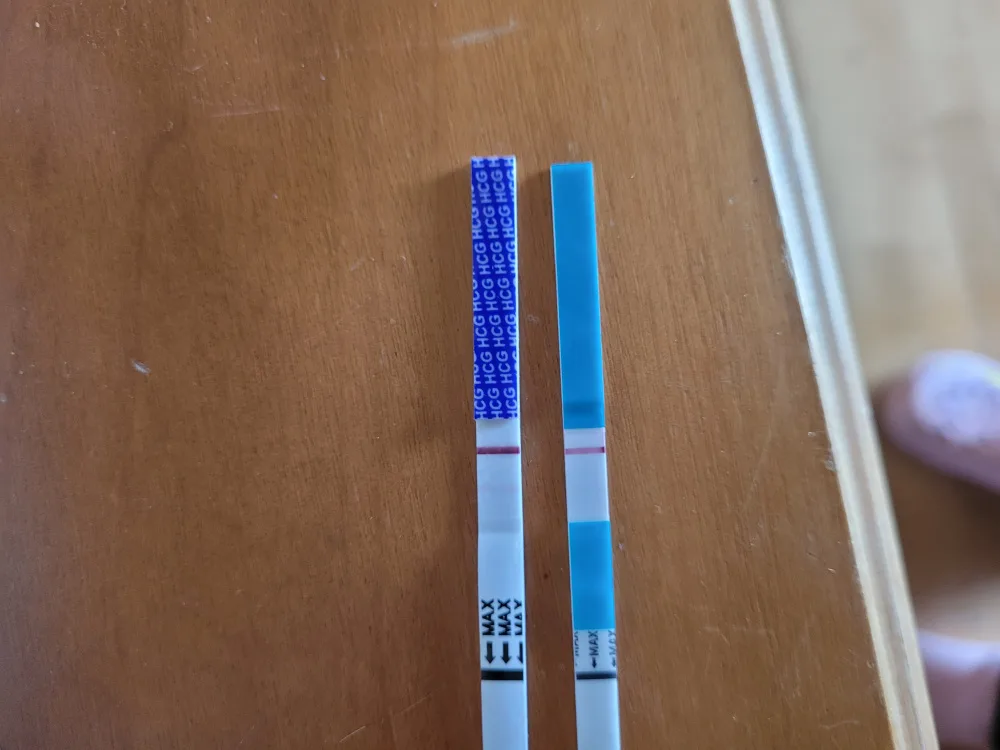 ekb0mt01thrt.webp