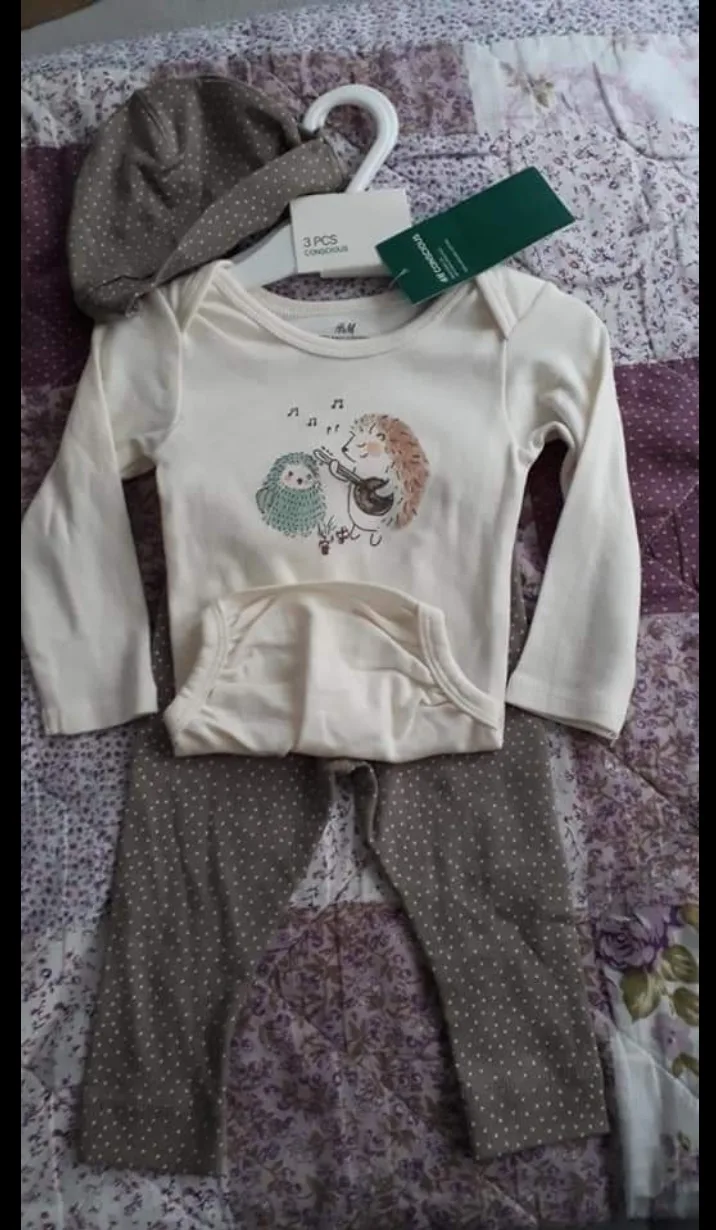 9oac9ewo8cmp.webp