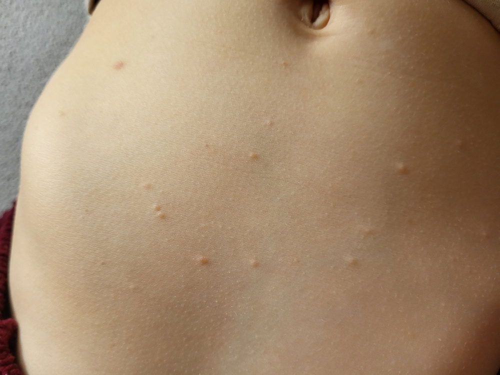 8xefnqngohpv.jpg