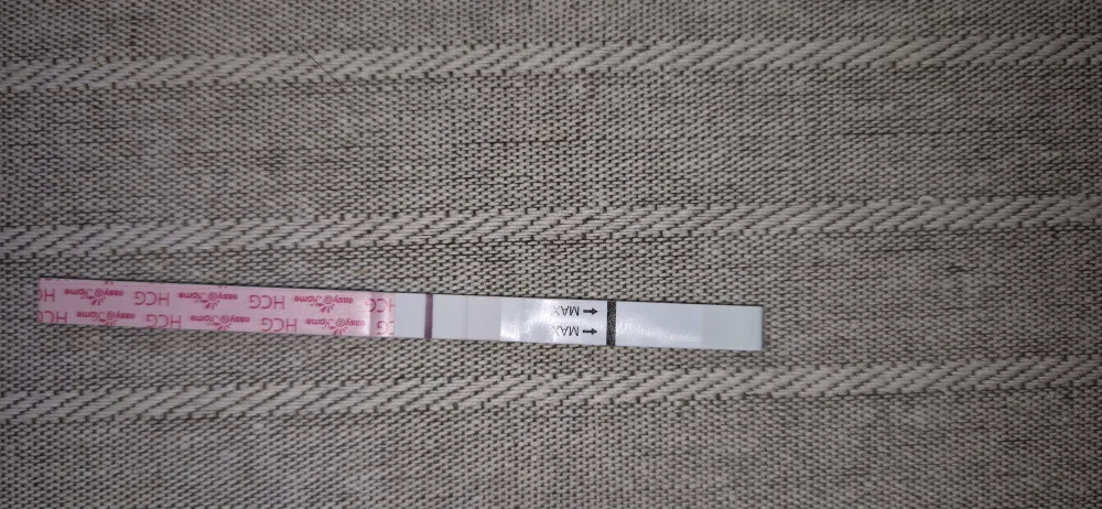 ib2k64f33ws0.webp