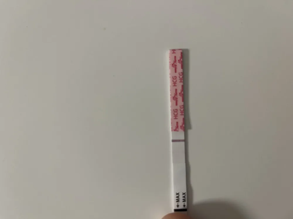 vob3y98p3wpu.webp