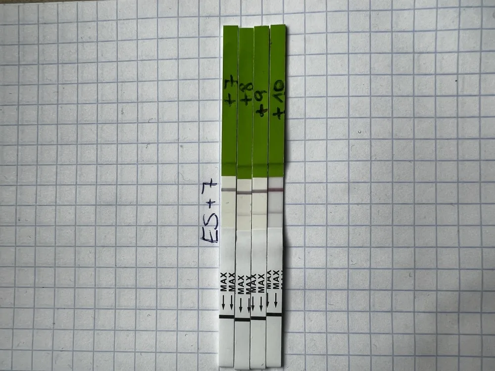g2yoljahmp2i.webp