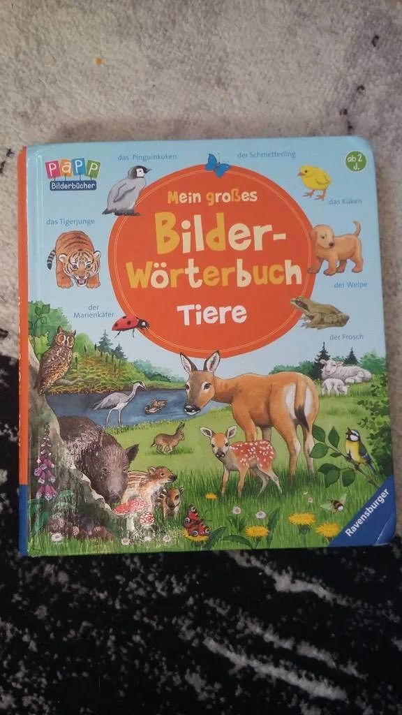 zaxx4ijnuj3l.webp