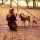 beate_81