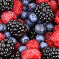 summerberry