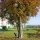 herbst2014
