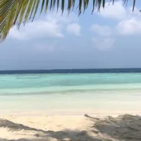kathi87