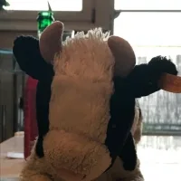 ConnyLukas