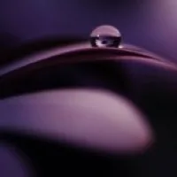 Dalu